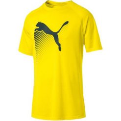 Puma Bluzka The Cat Heather Tee Blazing Yellow Heath L. Żółte koszulki męskie Puma, m, bez wzorów, ze skóry, sportowe, bez kołnierzyka, z krótkim rękawem, krótkie. Za 135,00 zł.
