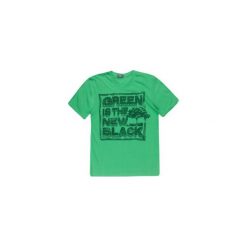 T-shirty męskie: t-shirt męski z printem