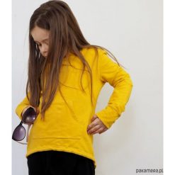 Bluzy chłopięce: Bluza frak motyle