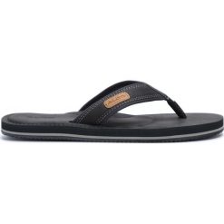 Aldo Diara Japonki Szary. Szare klapki męskie ALDO, w paski, z materiału. Za 154,95 zł.