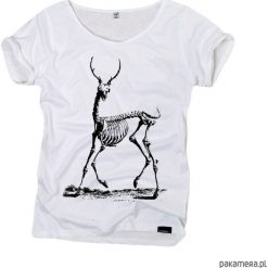 Bluzki, topy, tuniki: bones – organic t-shirt