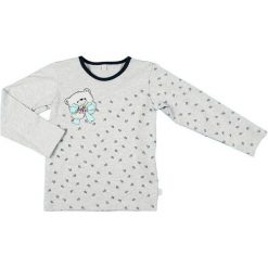 Mmdadak Dziewczęcy T-Shirt Miś 92 Szary. Szare bluzki dziewczęce marki Mmdadak. Za 33,00 zł.