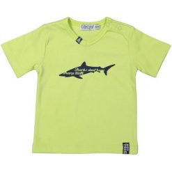 Dirkje Koszulka Chłopięca Neon 110 Żółta. Żółte t-shirty chłopięce Dirkje, bez wzorów, bez rękawów. Za 45,00 zł.