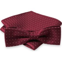 Bordowa Mucha w Białe Kwadraciki + Poszetka, Męska MUALTS0093. Czerwone muszki męskie Alties, w paski, eleganckie. Za 39,00 zł.