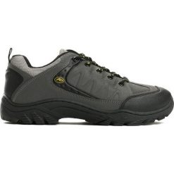 Szare Buty Sportowe Wayfarrer. Szare buty sportowe męskie marki Born2be, z tworzywa sztucznego, na sznurówki. Za 69,99 zł.