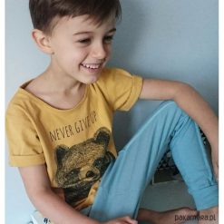 Koszulka Never give up musztardowa. Szare t-shirty chłopięce marki Pakamera, z bawełny. Za 65,00 zł.