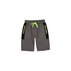 Szorty męskie sportowe. Szare spodenki sportowe męskie marki TXM, w kolorowe wzory, z tkaniny, sportowe. Za 29,99 zł.