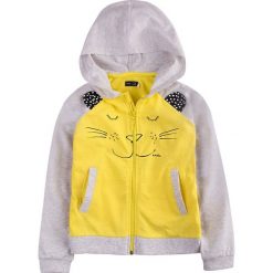 Endo - Bluza dziecięca 104-128 cm. Szare bluzy dziewczęce Endo, z nadrukiem, z bawełny, bez rękawów, z kapturem. W wyprzedaży za 69,90 zł.