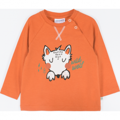 Koszulka. Pomarańczowe t-shirty chłopięce LITTLE WOLF, z aplikacjami, z długim rękawem. Za 39,90 zł.