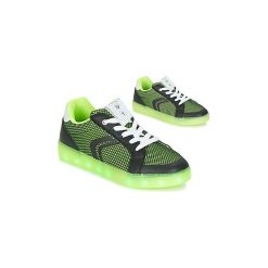 Buty Dziecko Geox J KOMMODOR B.A. Zielone trampki chłopięce Geox. Za 250,04 zł.