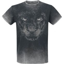 T-shirty męskie: Black Premium by EMP In The Shades T-Shirt szary