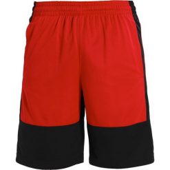 Spodenki i szorty męskie: Jordan RISE SOLID SHORT Krótkie spodenki sportowe black