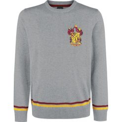 Swetry klasyczne męskie: Harry Potter Gryffindor Sweter szary