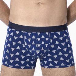 Bokserki męskie ROSSLI Pyramids. Szare bokserki męskie marki Astratex, z nadrukiem, z dzianiny. Za 31,99 zł.