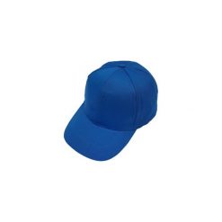 Czapka męska z daszkiem. Niebieskie czapki męskie marki TXM. Za 5,99 zł.