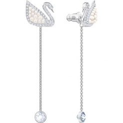 Swarovski - Kolczyki Iconic Swan. Szare kolczyki damskie Swarovski, z kryształem. Za 379,90 zł.