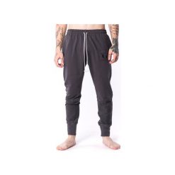 Męski panelled spodnie 17. Szare spodnie męskie Theg clothing, s, bez wzorów, z bawełny. Za 326,00 zł.