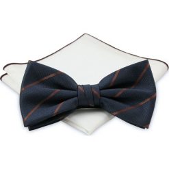 Mucha z poszetką - Chattier, Męska - Granatowa, Deseń w Prążek MUCH0414. Niebieskie muszki męskie Chattier, na imprezę, w paski, eleganckie. Za 44,00 zł.