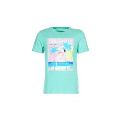 T-shirty z krótkim rękawem Jack Jones JORRAINBOW. Zielone t-shirty męskie Jack & Jones, s, bez wzorów, bez kołnierzyka, krótkie. Za 55,30 zł.