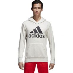 Bluzy męskie: BLUZA ADIDAS ESS LIN P/O FT