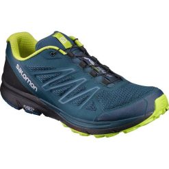 Buty sportowe męskie: Salomon Buty męskie Sense Marin M zielone r. 45 1/3 (L39203700)