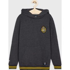 Vans - Bluza dziecięca x Harry Potter 122-174 cm. Szare bluzy chłopięce Vans, z nadrukiem, z bawełny, bez rękawów, z kapturem. W wyprzedaży za 229,90 zł.