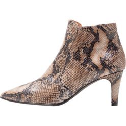 Botki damskie lity: Brenda Zaro BENETTBO Ankle boot algar pesaro