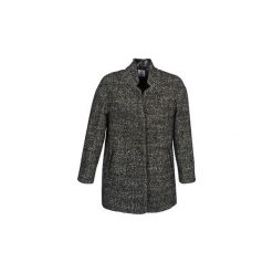 Płaszcze damskie: Płaszcze Alba Moda XOLLO