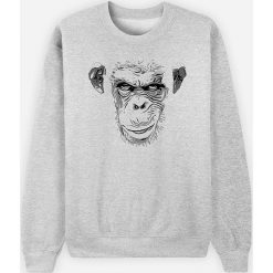 Bluza "Evil Monkey" w kolorze szarym. Szare bluzy męskie Wooop, s, z nadrukiem, z okrągłym kołnierzem, bez rękawów, bez kaptura. W wyprzedaży za 87,95 zł.