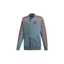 Bluzy dresowe Dziecko adidas Kurtka wyjściowa Bayern Monachium. Zielone bluzy chłopięce marki Adidas, z dresówki. Za 279,00 zł.