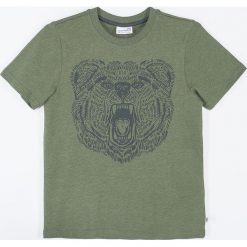 Coccodrillo - T-shirt dziecięcy 128-164 cm. Żółte t-shirty chłopięce COCCODRILLO, z nadrukiem, z dzianiny, bez rękawów. Za 45,90 zł.