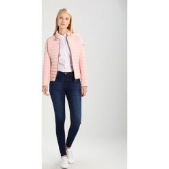 Kurtki damskie: Frieda & Freddies Kurtka przejściowa powder rose