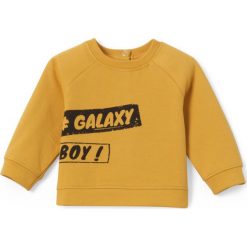 Bluzy niemowlęce: Bluza z długim rękawem, 1 mies. – 3 lata