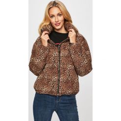 Glamorous - Kurtka. Czarne kurtki damskie Glamorous, s, bez wzorów, z poliesteru, krótkie. W wyprzedaży za 179,90 zł.