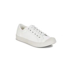 Trampki męskie: Buty Palladium PALLAPHOENIX OG CVS