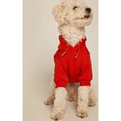 Medicine - Bluza dla psa Amber Ambient. Żółte bluzy damskie MEDICINE, s, bez wzorów, z bawełny, bez rękawów, z kapturem. Za 59,90 zł.