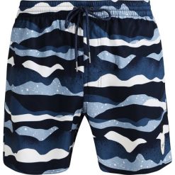 Kąpielówki męskie: O’Neill VENTURER Szorty kąpielowe blue/white