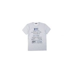 T-shirt męski. Szare t-shirty męskie TXM, m, bez wzorów, bez kołnierzyka. Za 24,99 zł.