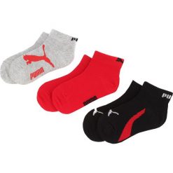 Zestaw 3 par niskich skarpet unisex PUMA - 886451 Black 01. Szare skarpetki damskie Puma, bez wzorów, z elastanu. Za 39,99 zł.