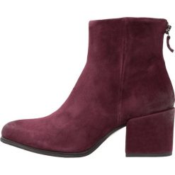 Botki damskie lity: MJUS Ankle boot barolo