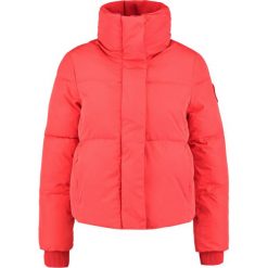 Superdry COCOON Kurtka zimowa red. Czerwone kurtki damskie Superdry, l, bez wzorów, z poliesteru. W wyprzedaży za 365,40 zł.