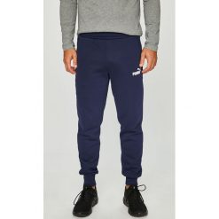 Puma - Spodnie. Szare spodnie męskie Puma, xl, bez wzorów, z bawełny, sportowe. W wyprzedaży za 129,90 zł.