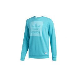 Bluzy męskie: Polary adidas Bluza Garment Dye