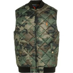Kamizelki dziewczęce: Polo Ralph Lauren OUTERWEAR Kamizelka green
