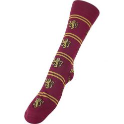 Harry Potter Gryffindor Pończochy czerwony/żółty. Czerwone pończochy i rajstopy Harry Potter. Za 42,90 zł.