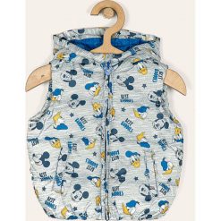 Blukids - Bezrękawnik dziecięcy 74-98 cm. Szare kurtki chłopięce Blukids, bez wzorów, z poliesteru, z kapturem. W wyprzedaży za 69,90 zł.