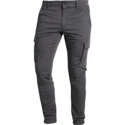Bojówki męskie: Only & Sons ONSSTAGE Bojówki grey pinstripe