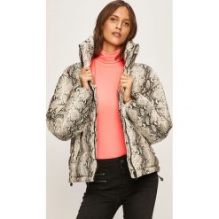 Glamorous - Kurtka. Szare kurtki damskie Glamorous, s, z poliesteru, krótkie. W wyprzedaży za 199,90 zł.