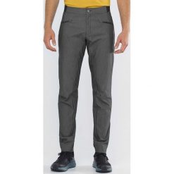 Salomon Wayfarer Alpine Spodnie Szary. Szare spodnie męskie Salomon, bez wzorów, z elastanu. Za 438,95 zł.