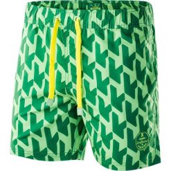 Kąpielówki męskie: AQUAWAVE Szorty męskie Waveshorts Verdant Green Print/Sulphur Spring r. XXL